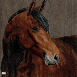 1 serviette Le cheval -40