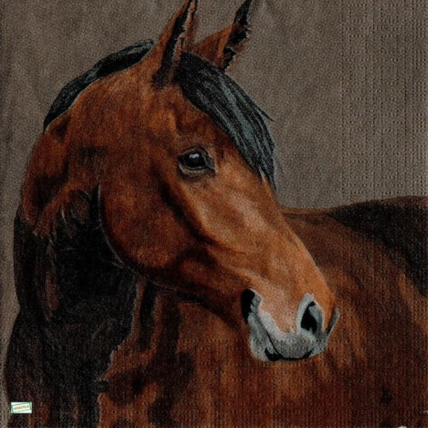 1serviette papier Cheval-40