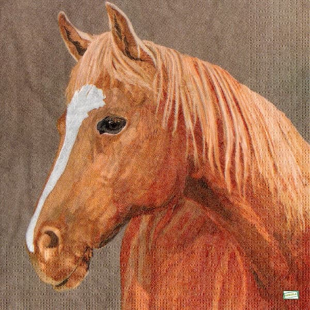 1 serviette Le cheval -41