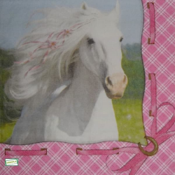 1serviette papier Cheval-49