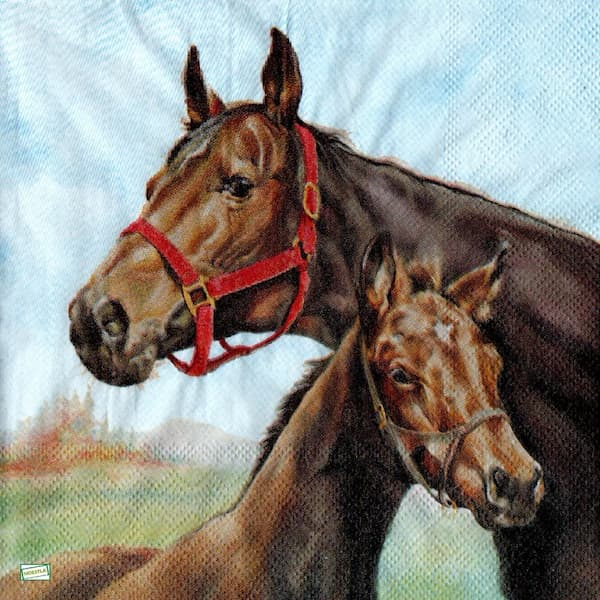 1serviette papier Chevaux-61