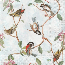 1 serviette Les oiseaux -31