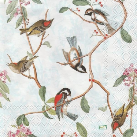 1 serviette Les oiseaux -31