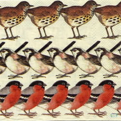 1serviette papier Oiseaux-58