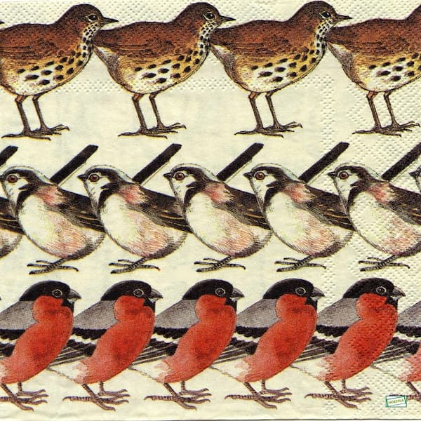 1 serviette Les oiseaux -58