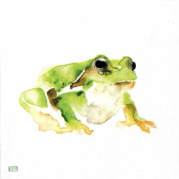 1serviette papier Grenouille-3