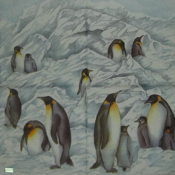 1 serviette Les Pingouins -14