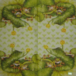 serviette papier Grenouille-31