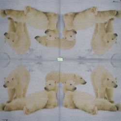 1serviette papier Les Ours-41