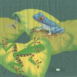 serviette papier Grenouille-44