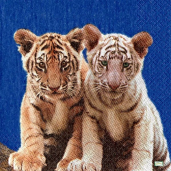 1 serviette Les Tigres -1
