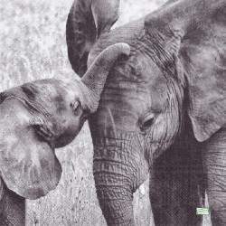 1 serviette Les éléphants-7