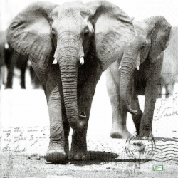 1 serviette Les éléphants-8