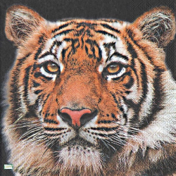 1 serviette Le tigre -20 -