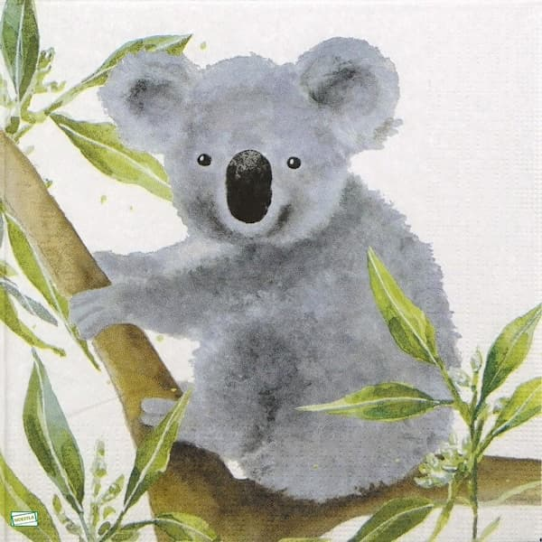 1serviette papier Koala-25