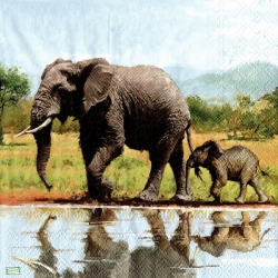 1 serviette Les éléphants-29