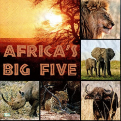 1 serviette Animaux Afrique-32