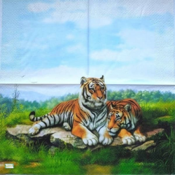 1serviette papier Tigres-34