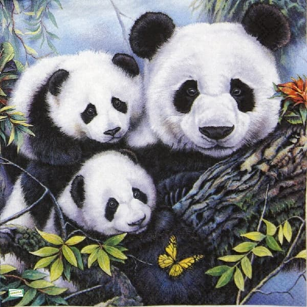 1 serviette Les pandas -56