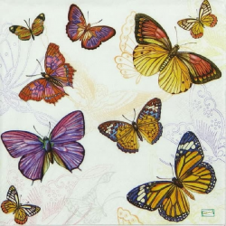 1 serviette Papillons -10
