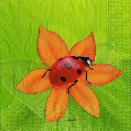 1 serviette Coccinelles -57