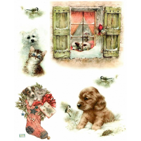 1 papier riz Chiens Chats-BMET4