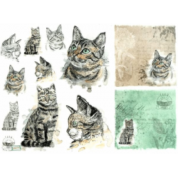 1 papier de riz Chats -R1565