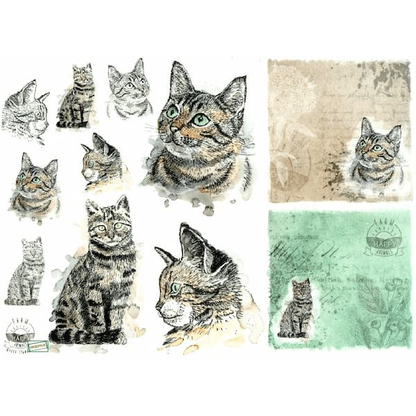 1 papier de riz Chats -R1565