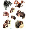 1 papier de riz Chiens -R229