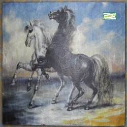 1 GRAND papier de riz Chevaux - ZZZ1