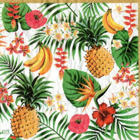 1serviette papier Fruits-60