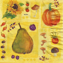 1 serviette Autres Fruits -50