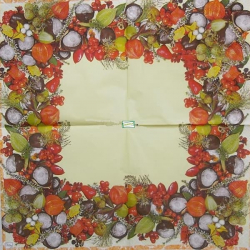 1serviette papier Fruits-46