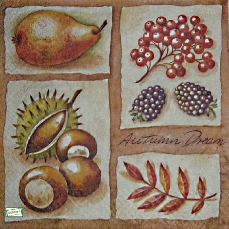 1serviette papier Fruits-41