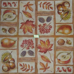 1serviette papier Fruits-41