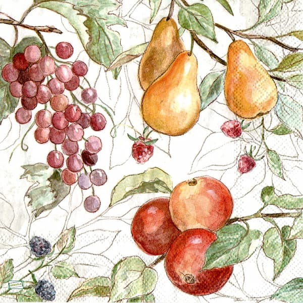 1 serviette papier Autres Fruits - 28