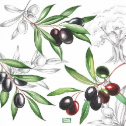 1 serviette Les Olives -21