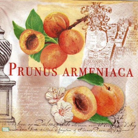 1serviette papier Abricots-19