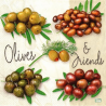 1 serviette Les Olives - 15