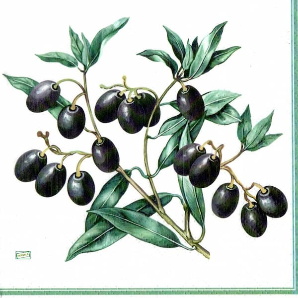 1serviette papier Olives-14