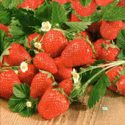 1 serviette Les fraises -15
