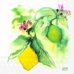 1 serviette Les citrons -2