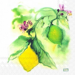 1serviette papier Citrons-2