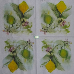 1serviette papier Citrons-2