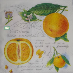1 serviette Les Oranges -7