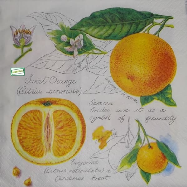 1serviette papier Oranges-7