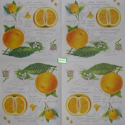 1 serviette Les Oranges -7