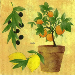1 serviette Les Oranges -12