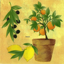 1serviette papier Oranges-12