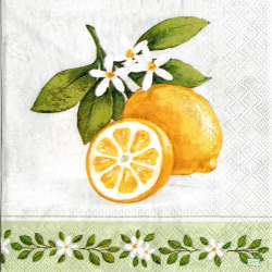 1 serviette Les Citrons -15